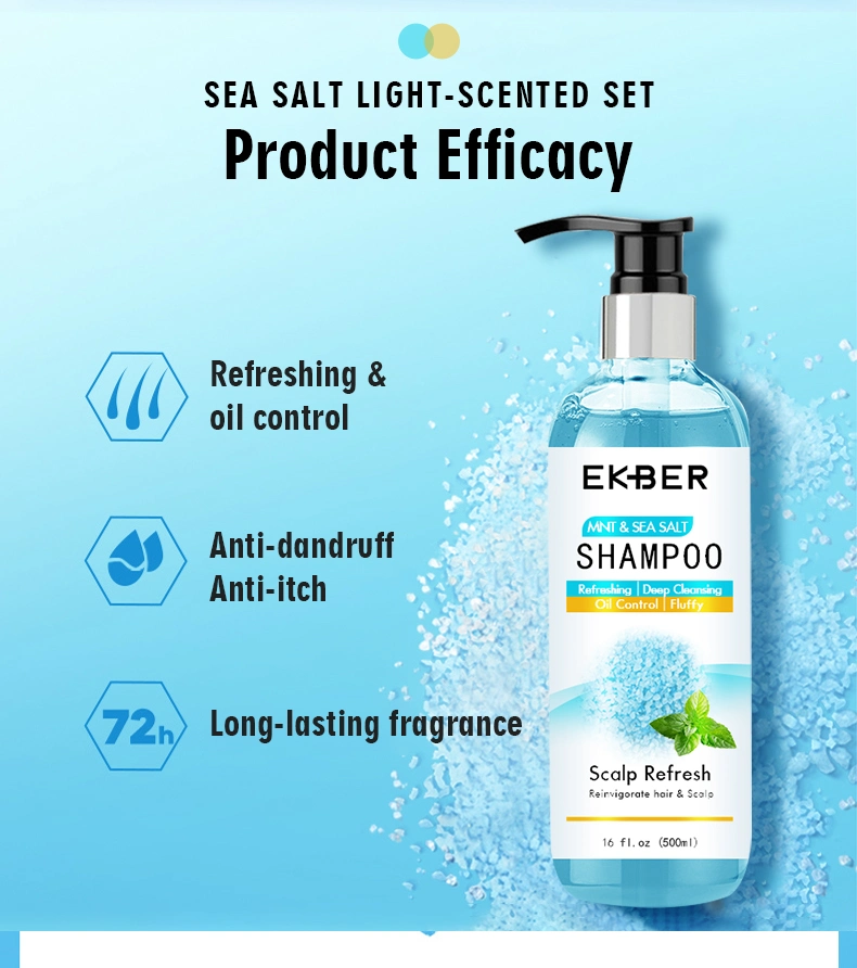 Wholesale Sea Salt Mint OEM Private Label Custom Organic Shampoo and Conditioner Set Hair Care Oil Control Sea Salt Shampoo